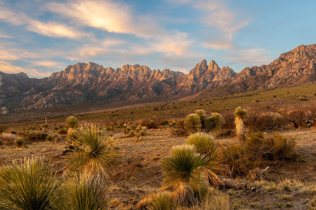 Organ Mountains